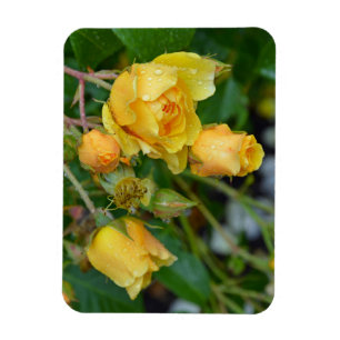 Magnet Flexible Aimant d'impression florale rose de printemps jaun