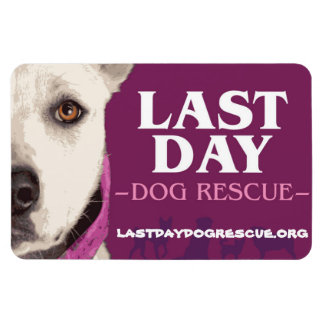 Magnet Flexible Aimant du logo LDDR 4 po x 6 po