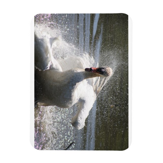 Magnet Flexible Aimant du réfrigérateur de cygne (Vertical)