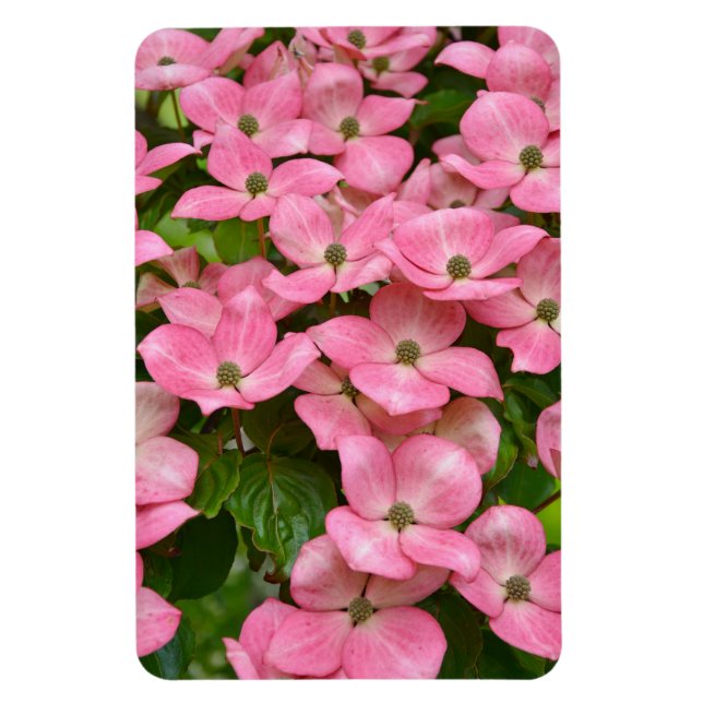 Magnet Flexible Aimant en bois de rose (Vertical)