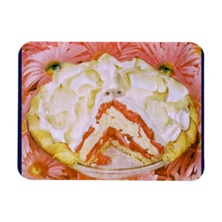 Magnet Flexible Aimant face à secteur