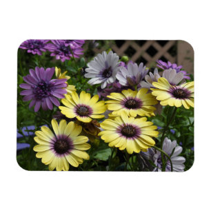 Magnet Flexible Aimant Fleurs Jaunes et Violets
