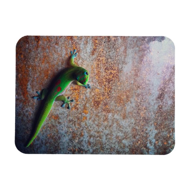 Magnet Flexible Aimant Flexi Gecko Vert (Horizontal)