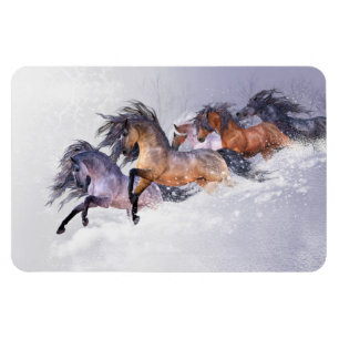 Magnet Flexible Aimant Flexi Premium de vol d'hiver