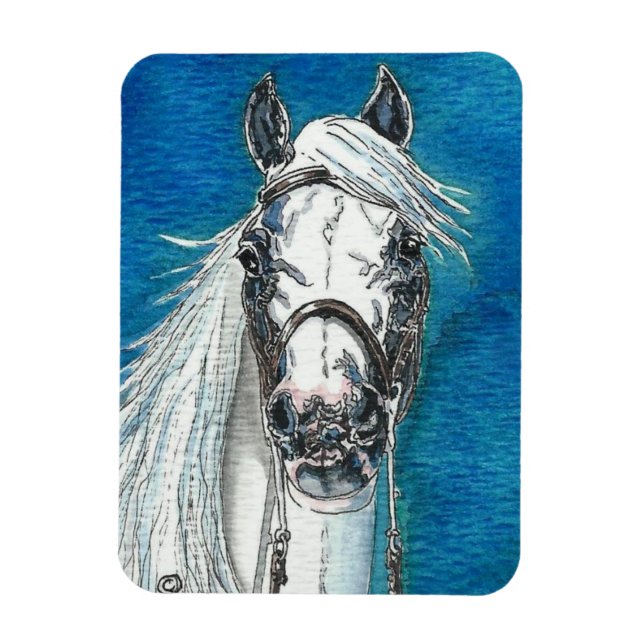 Magnet Flexible Aimant Flexi Premium pour cheval andalou (Vertical)