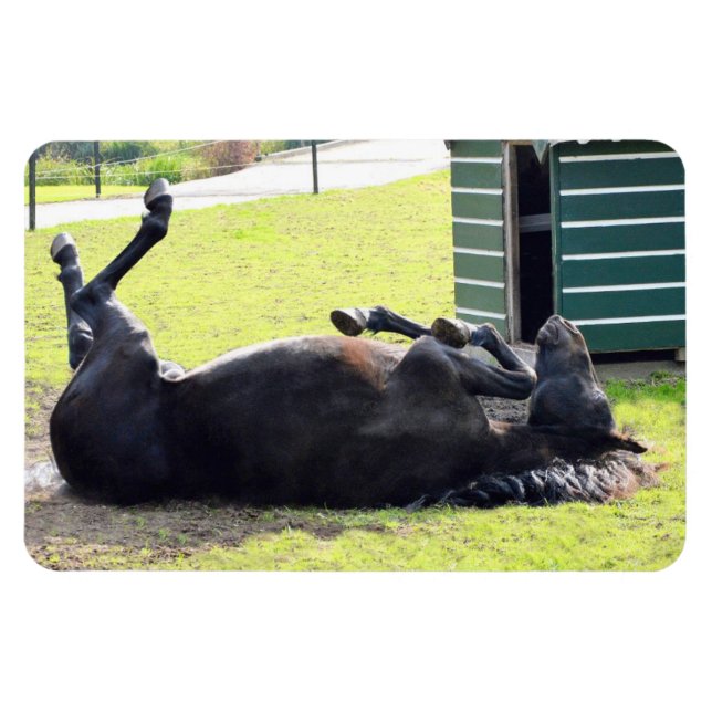 Magnet Flexible Aimant flexible à cheval (Horizontal)