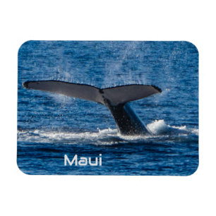 Magnet Flexible Aimant flexible à queue de baleine à bosse
