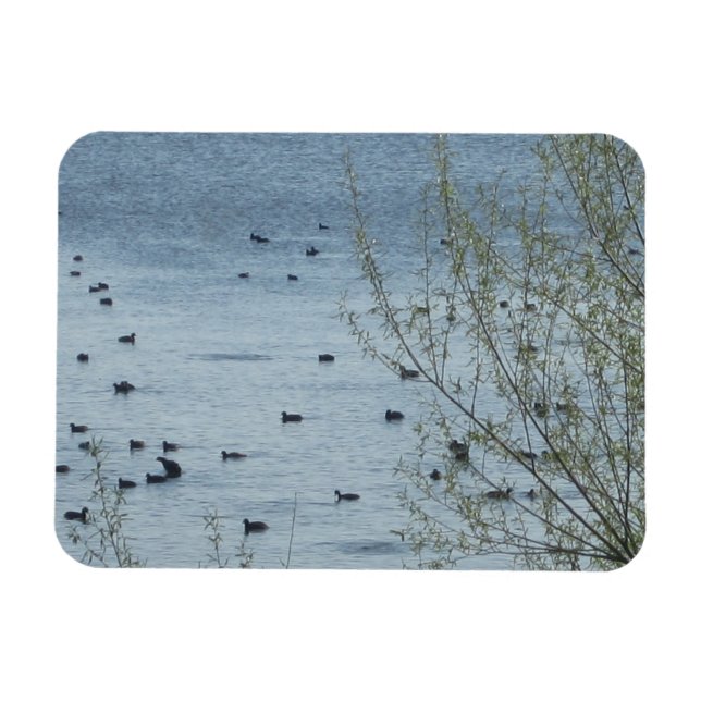Magnet Flexible Aimant flexible aux oiseaux du lac (Horizontal)
