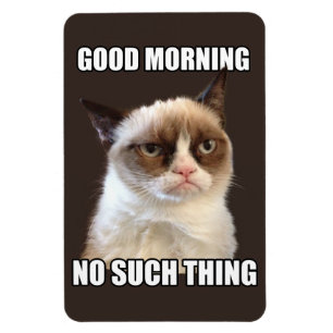 Magnet Flexible Aimant flexible de chat grincheux