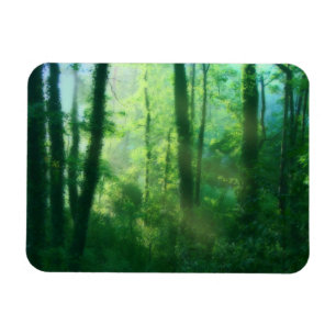 Magnet Flexible Aimant flexible de fertilité