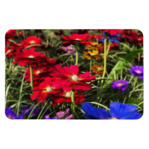 Magnet Flexible Aimant flexible de ressort iridescent