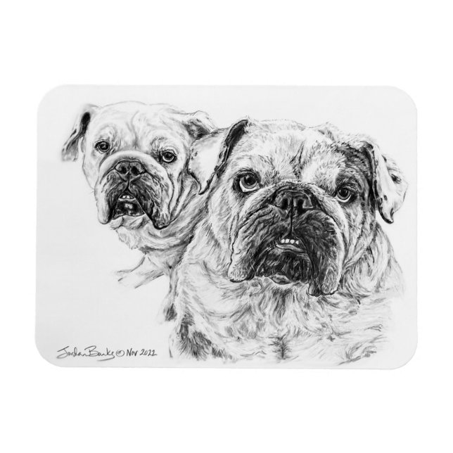 Magnet Flexible Aimant flexible des Divas chauves ! (Horizontal)