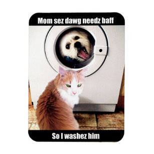 Magnets Aimants Humour Chat Chien Zazzle Fr