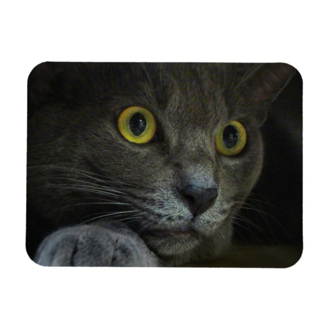 Magnet Flexible Aimant flexible d'intensité (Horizontal)