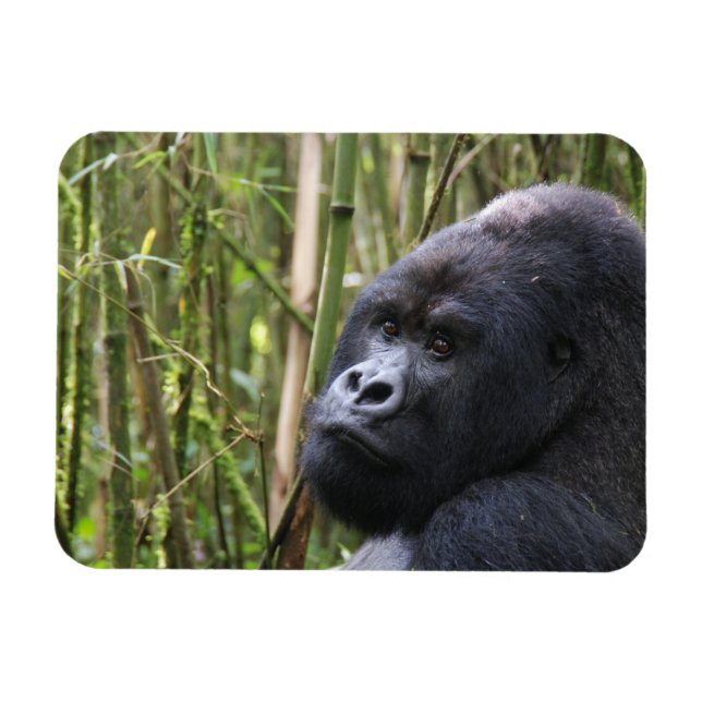 Magnet Flexible Aimant flexible Gorilla Lowland (Horizontal)