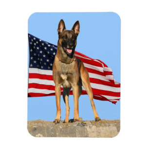 Magnet Flexible Aimant flexible Malinois et Drapeau