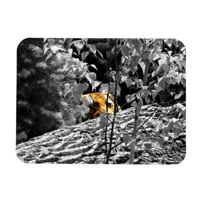 Magnet Flexible Aimant flexible Tiger Peek-a-boo (Horizontal)