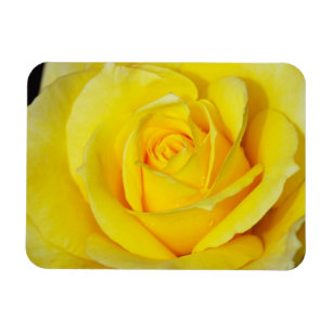 Magnet Flexible Aimant floral de rose jaune