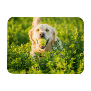 Magnet Flexible Aimant frigo avec Golden Retriever et Slogan