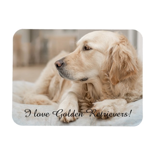 Magnet Flexible Aimant frigo avec Golden Retriever et Slogan (Horizontal)