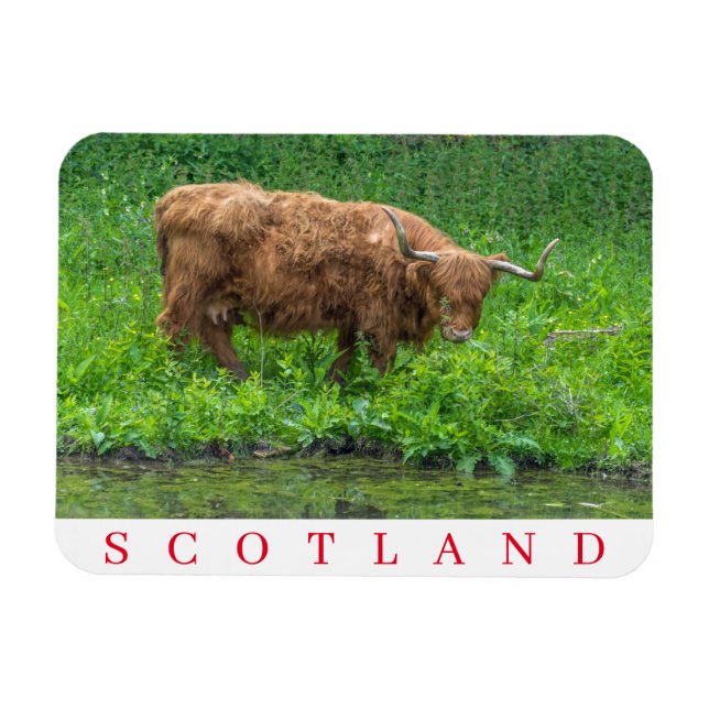 Magnet Flexible Aimant frigo de vache écossaise Highland (Horizontal)