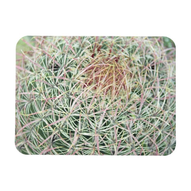 Magnet Flexible Aimant frigo décoratif Cactus à torchis rose (Horizontal)