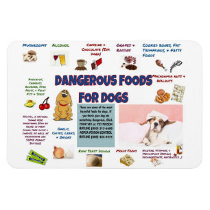 Magnet Flexible Aimant frigorifique pour chiens dangereux