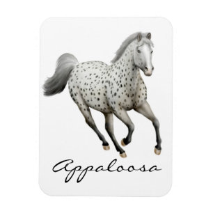 Magnet Flexible Aimant galopant de prime de cheval d'Appaloosa de