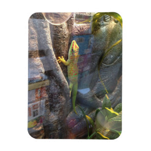 Magnet Flexible Aimant géant de Gecko de jour