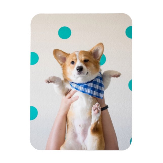 Magnet Flexible aimant karaté corgi (Vertical)