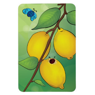 Magnet Flexible Aimant - Lemonade 2