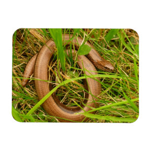 Magnet Flexible Aimant lent de ver