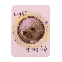 Aimant Lumière de ma vie