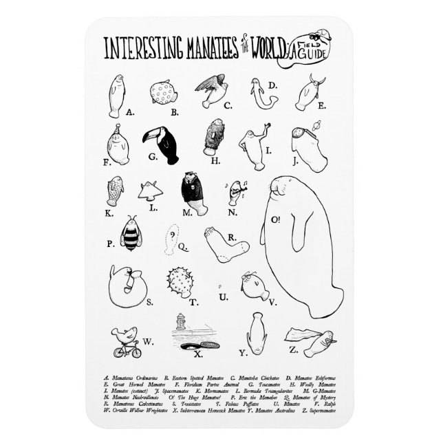 Magnet Flexible Aimant Manatees intéressant (Vertical)