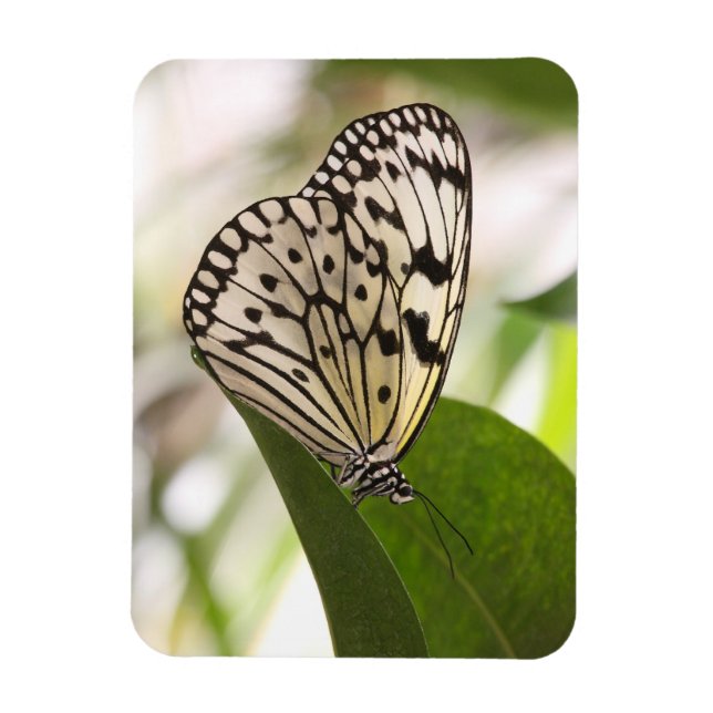 Magnet Flexible Aimant papillon en papier (Vertical)