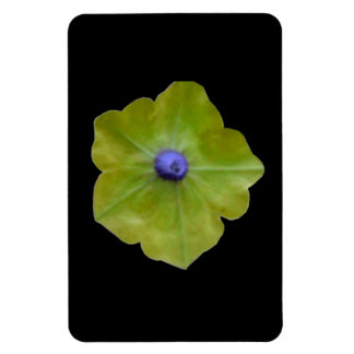 Magnet Flexible Aimant Petunia Green et Blue Premium
