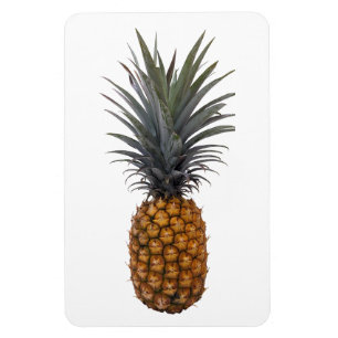 Magnet Flexible Aimant photo ananas