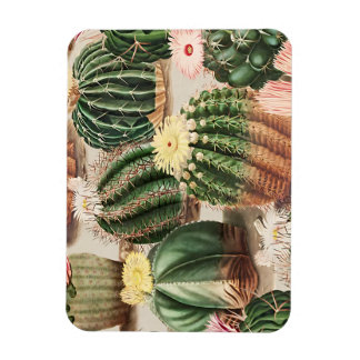 Magnet Flexible Aimant photo Cactus Design flexible