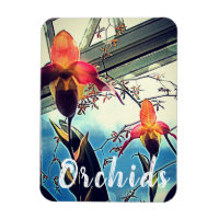 Aimant Photo d'Orchidées Ensolleillées