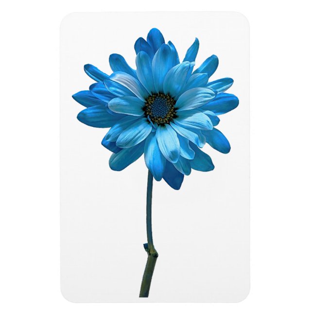 Magnet Flexible Aimant photo Fleur de la marguerite (Vertical)