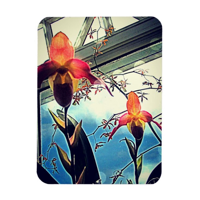 Magnet Flexible Aimant photo flexi orchidées ensoleillées (Vertical)