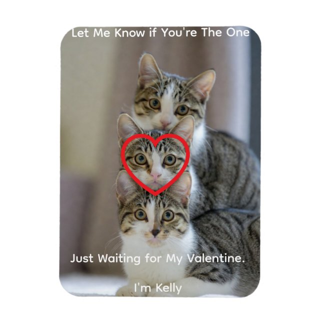 Magnet Flexible Aimant photo flexible avec photo de chats (Vertical)