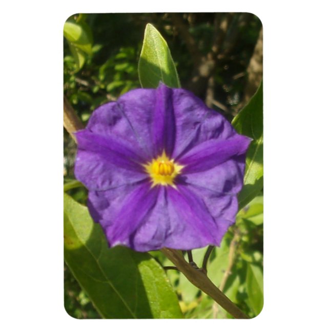 Magnet Flexible Aimant photo flexible éco violet (Vertical)