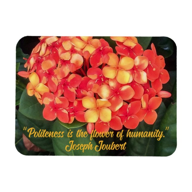 Magnet Flexible Aimant photo flexible Ixora en floraison (Horizontal)