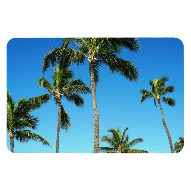 Magnet Flexible Aimant photo Hawaiian Coconut Trees (Horizontal)