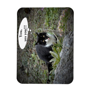 Magnet Flexible Aimant photo texte personnalisé chat