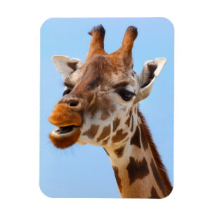 Magnet Flexible aimant Portrait Giraffe