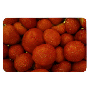Magnet Flexible Aimant Premium aux fraises juteuses