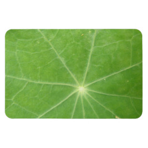 Magnet Flexible Aimant Premium feuille de Nasturtium