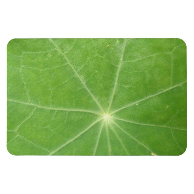 Magnet Flexible Aimant Premium feuille de Nasturtium (Horizontal)